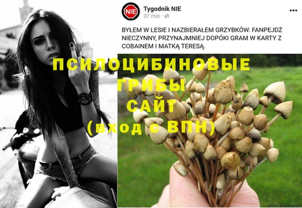 дживик Медногорск