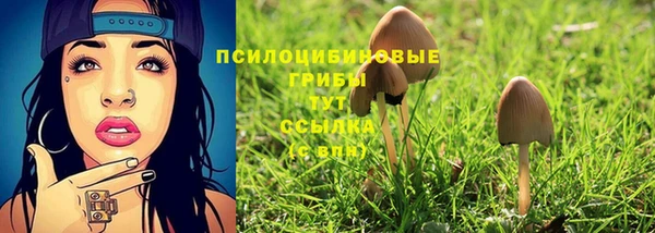 дживик Медногорск