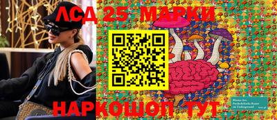 дмт Гусев