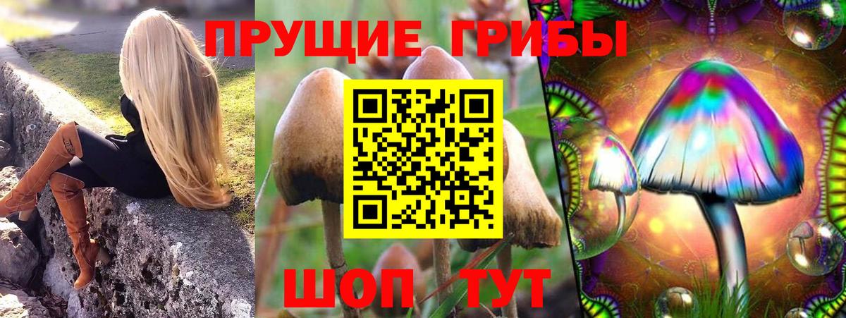 Назрань  Псилоцибиновые грибы Psilocybine cubensis  Вход с VPN 